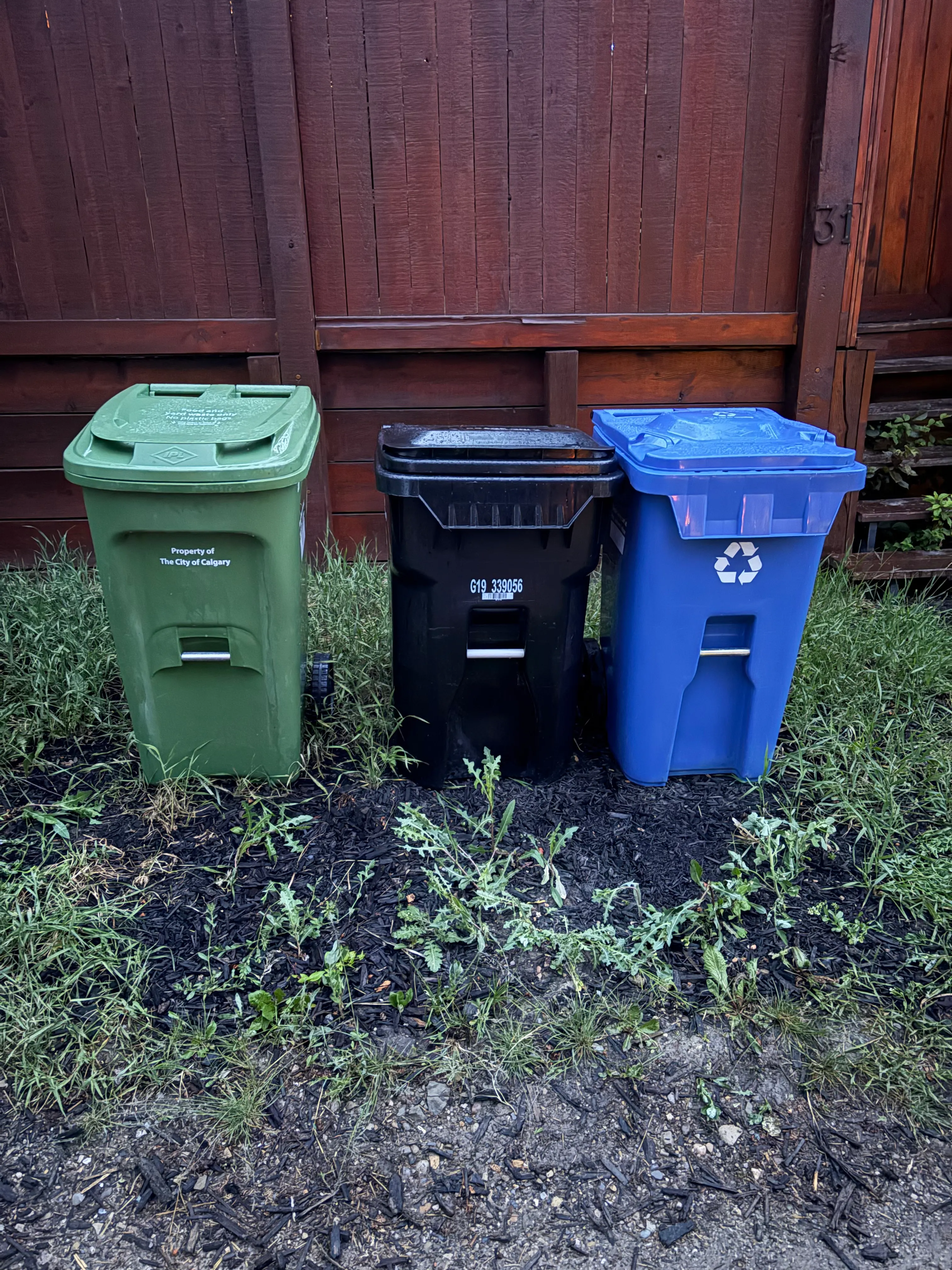 Calgary blue bin black bin green bin