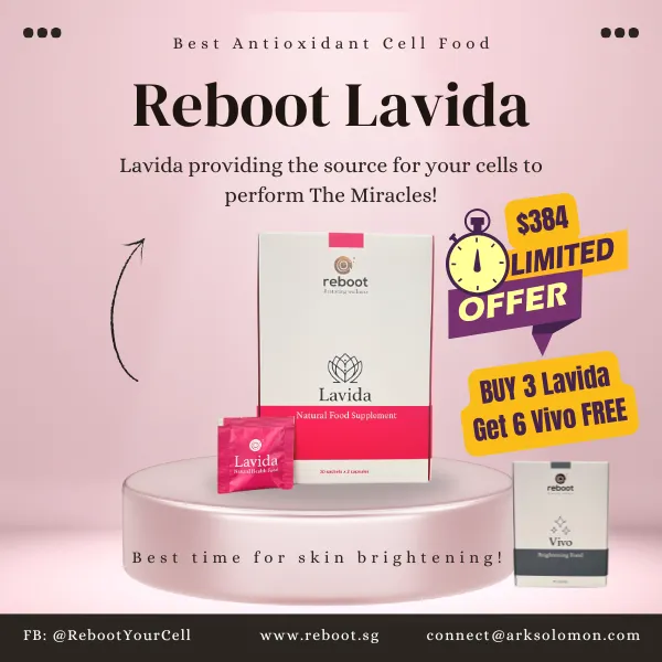 https://lavida.reboot.sg/