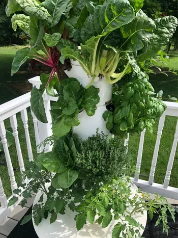 Grow nutrient-dense crops with Tower Garden at home.