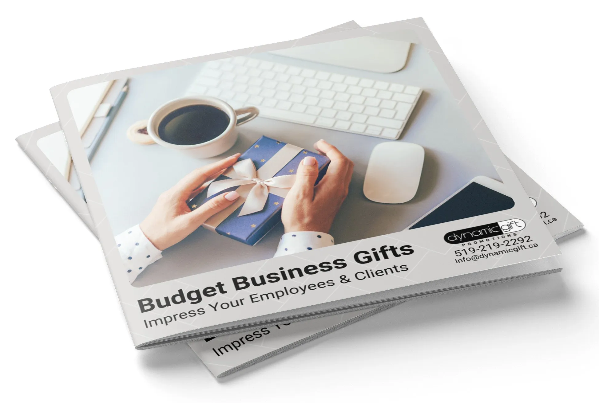 Dynamic Gift Corporate Budget Gifts Look-Book