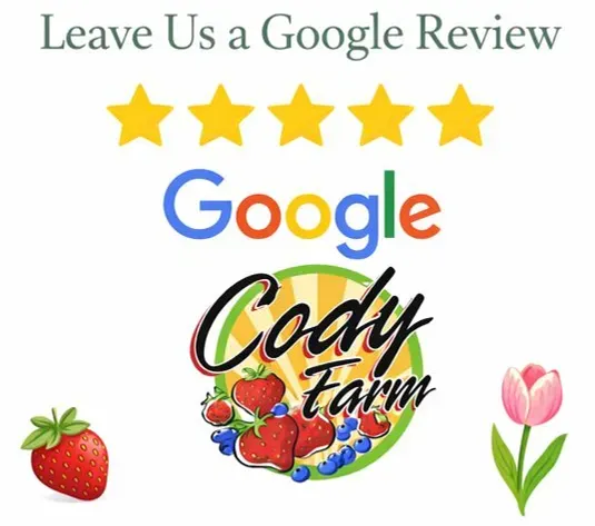 leave us a google review