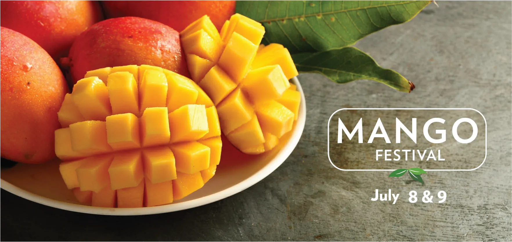 Check Out The Mango Festival!