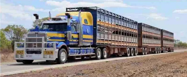 cattle truck triple