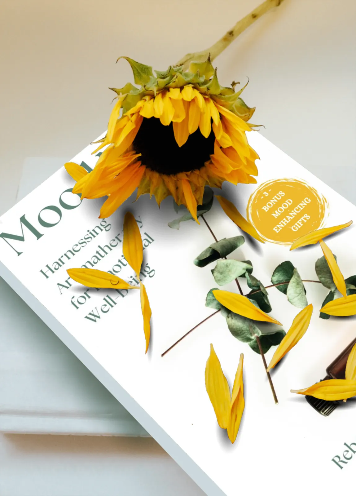 aromatherapy book for mood
