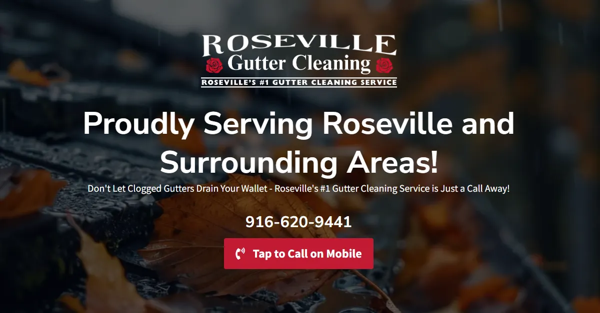 Roseville Gutter Cleaning