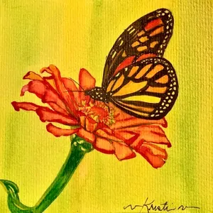 watercolor butterfly on zinnia