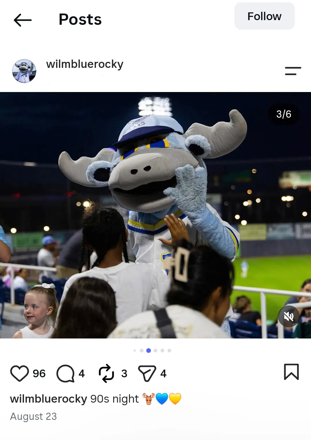 Wilmington Blue Rocks Fan Experience