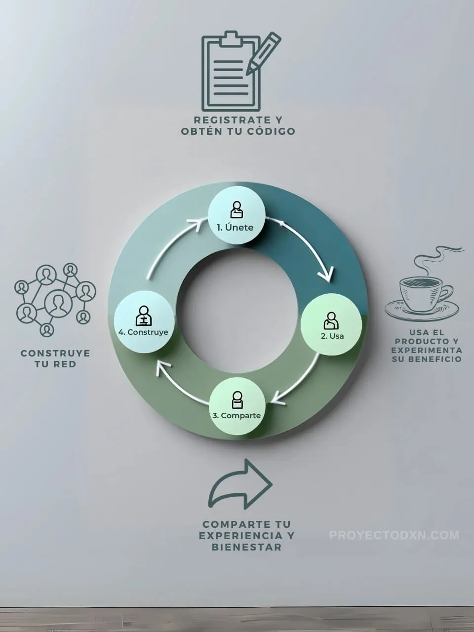 Infografía de los 4 pasos del éxito en DXN: Únete, Usa, Comparte y Construye.