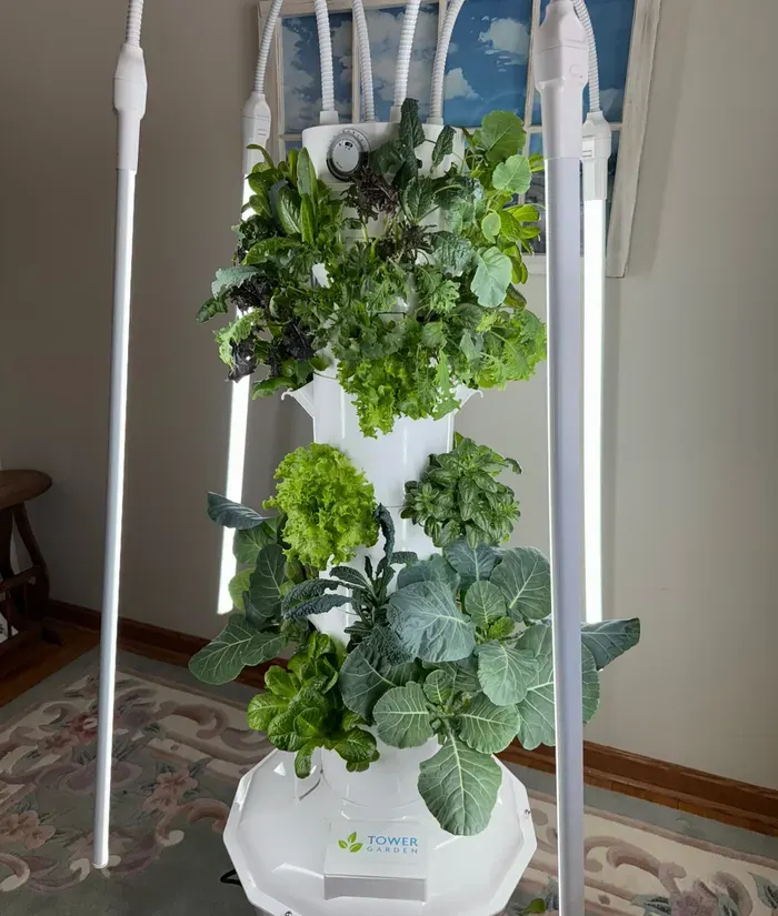 Tower Garden Home growing leafy greens and herbs indoors