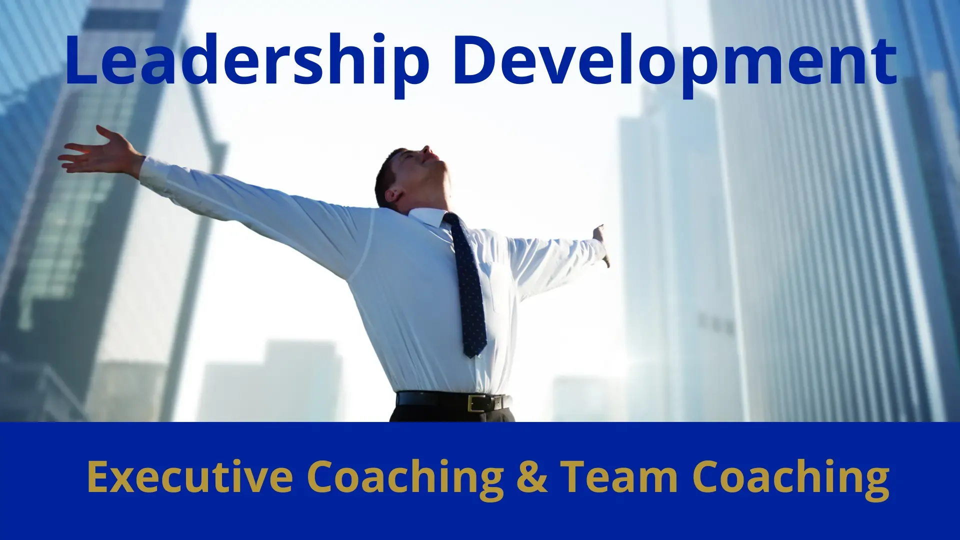 Executive Coaching & Leadership Development