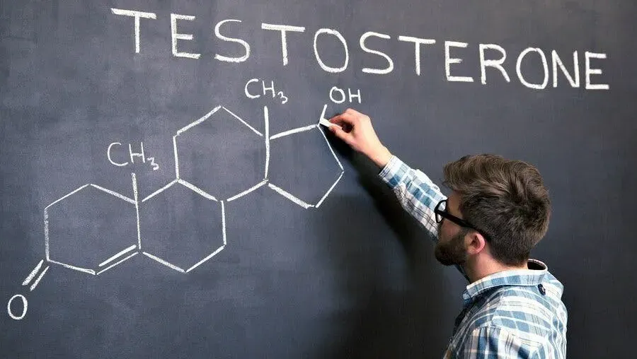 A professor drawing the the molecular structure of testosterone on a chalkboard. 