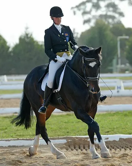 Horse and rider in a dressage arena catering around a bend with flexion and self carriage