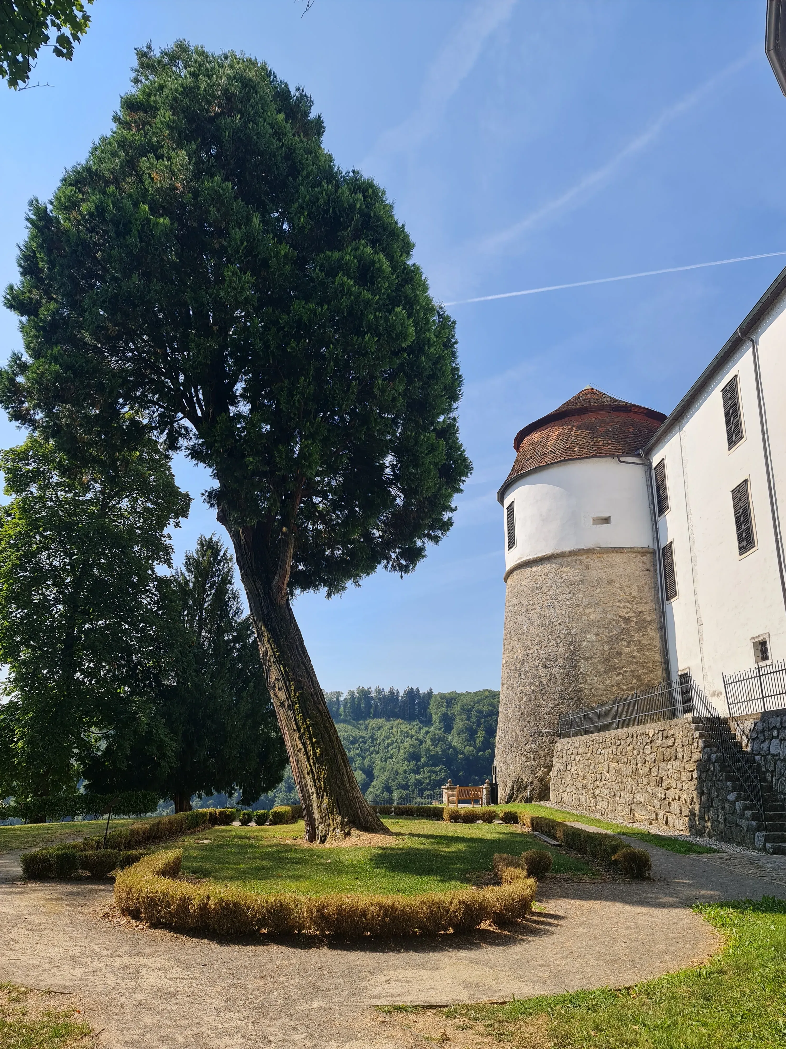 Brezpogojna ljubezen slika olje na platno, slika po naročilu