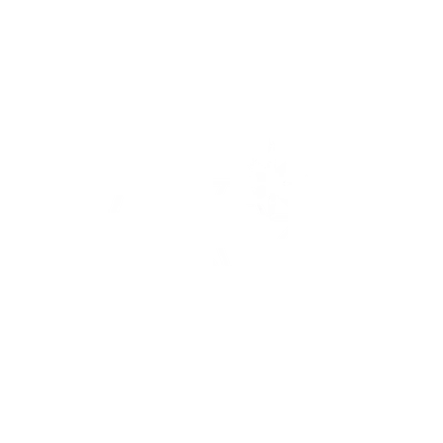 Support personal growth and development through Miss Diamond NZ
