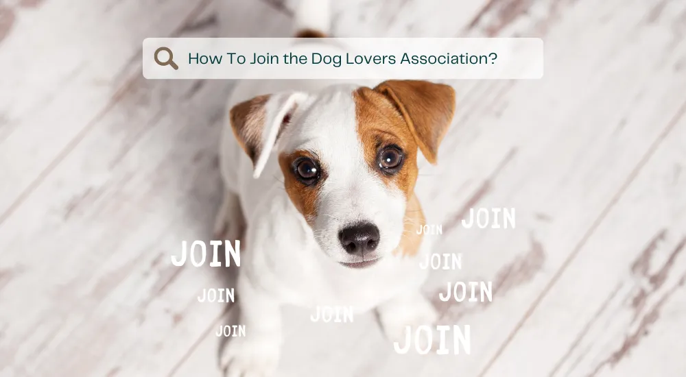 Dog Lovers Association - save on dog insurance