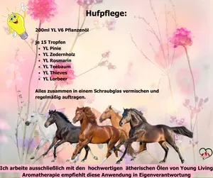 Hufpflege