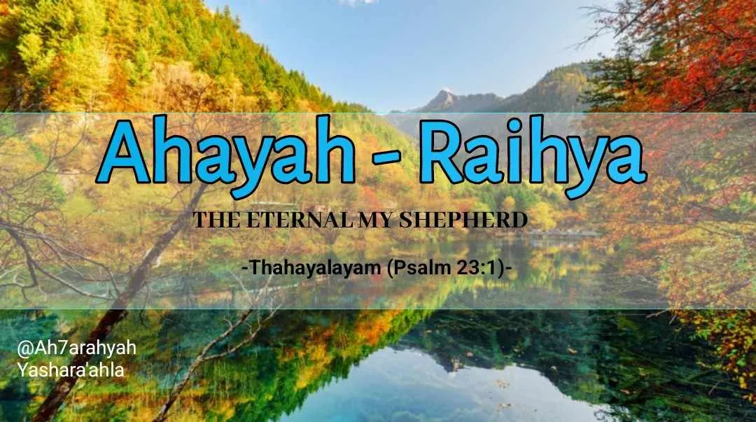 Ayah - riyya - the Eternal My Sheppard