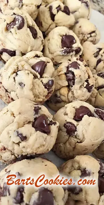 Bart Smith's World Famous Dark Chocolate Chip Cookies (BartsCookies.com)