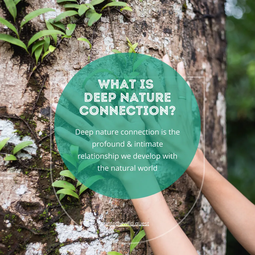 what is deep nature connection