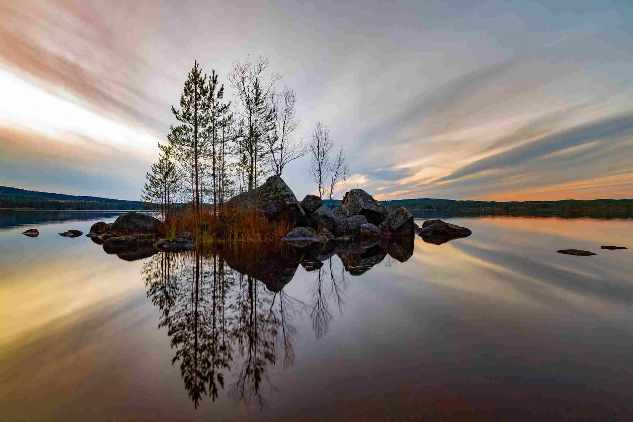 Trees on rocks in water with reflection