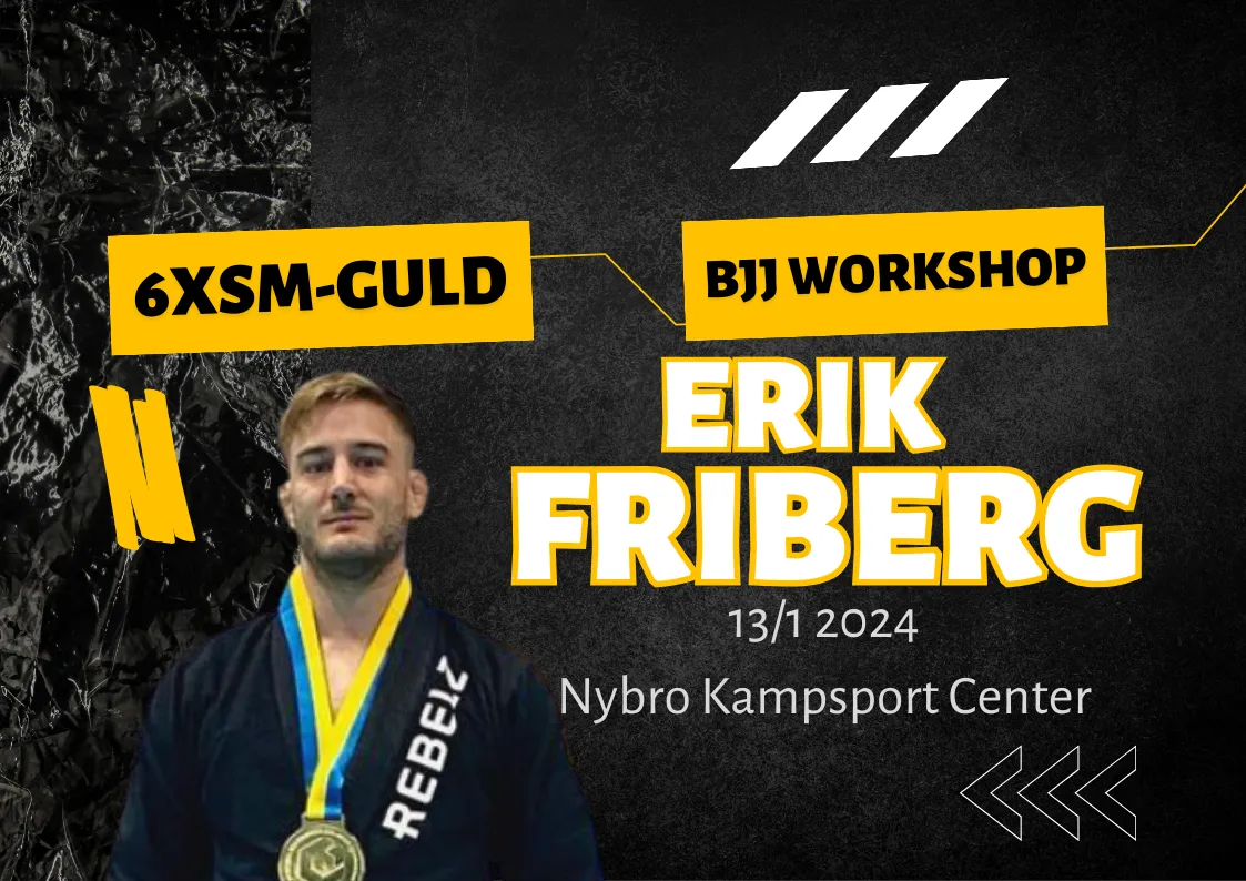 Workshop Erik Friberg