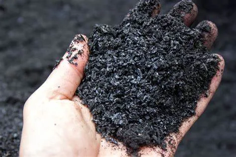 Biochar Gaia Compost Capital