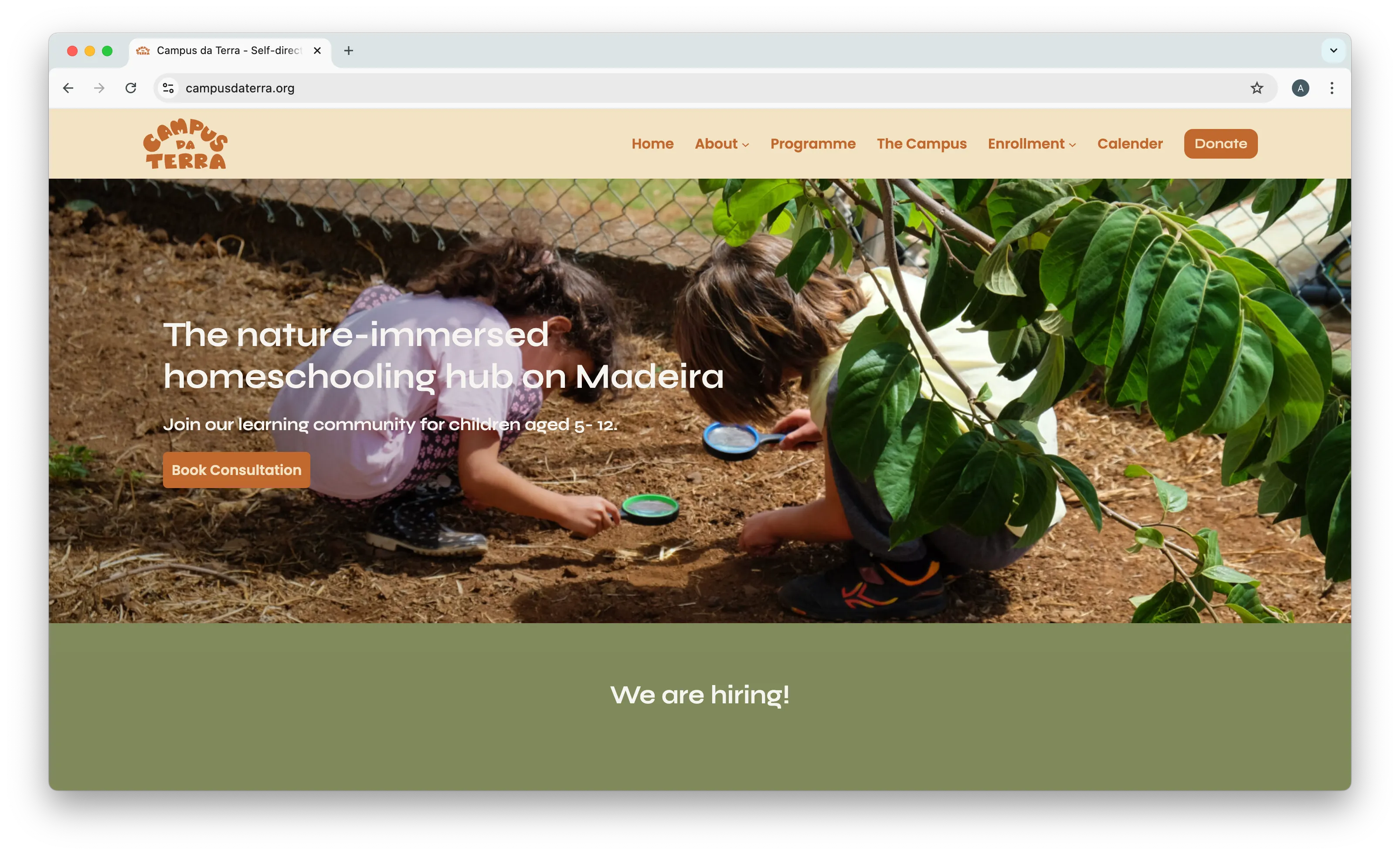 CDT Website