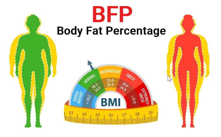 body-fat-percentage-calculator