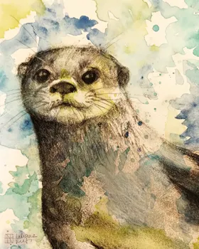 Zookromía - Carboncillo - Nutria