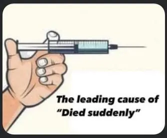 the leading cause of died suddenly