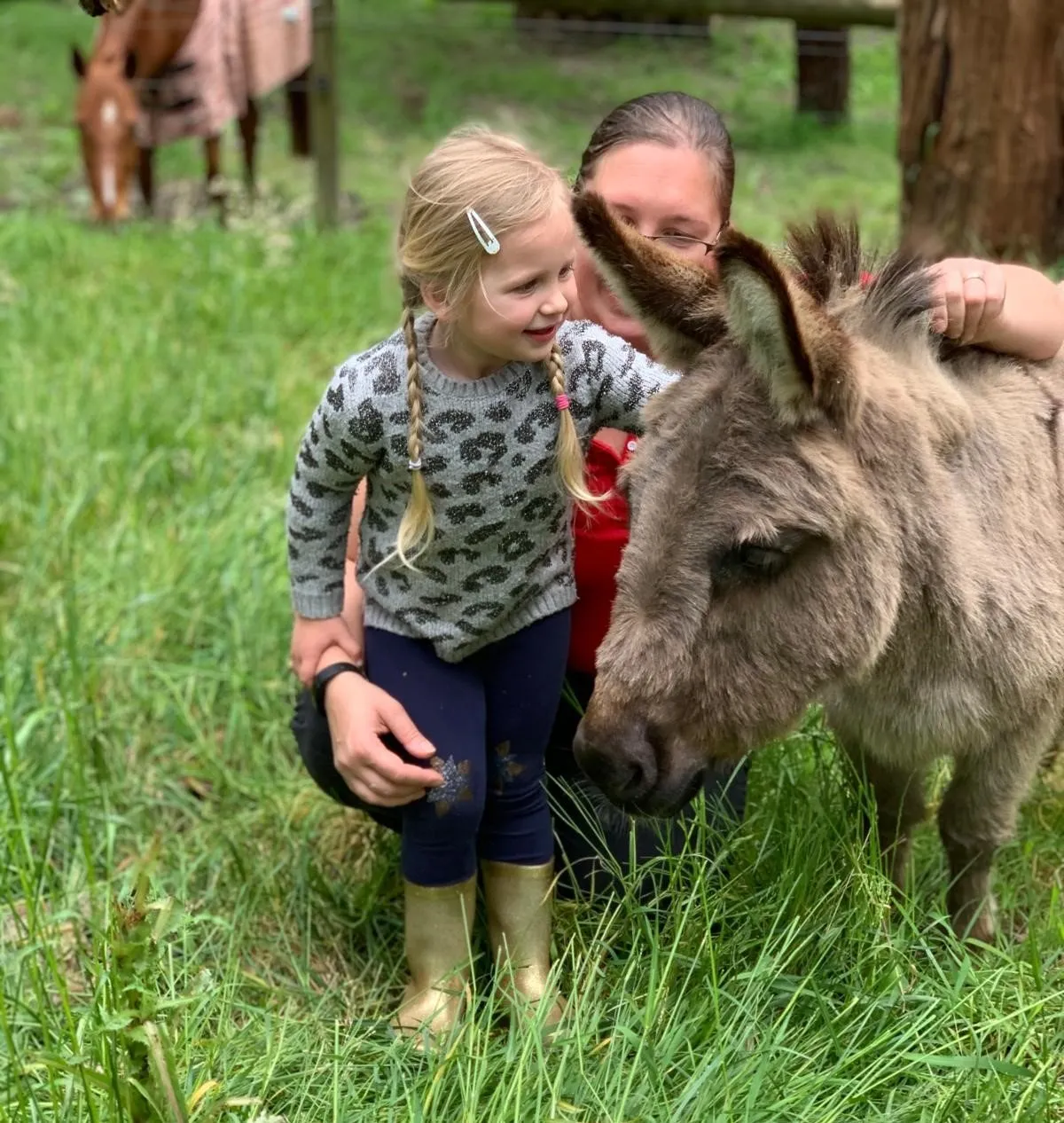 Little girl patting a miniature donkey. The mum is down low behind patting the donkey