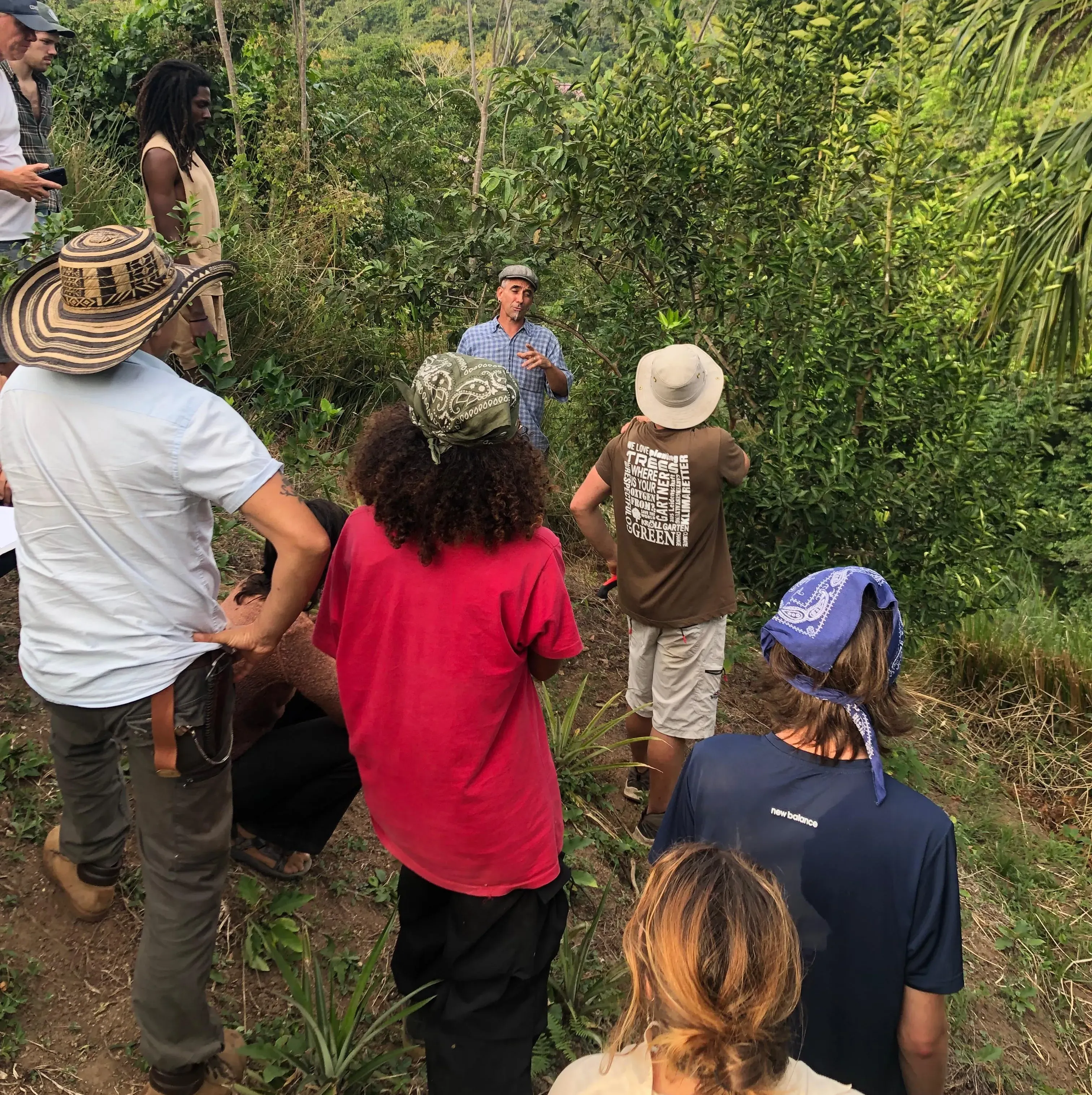 Finca Sin Fronteras permaculture colombia