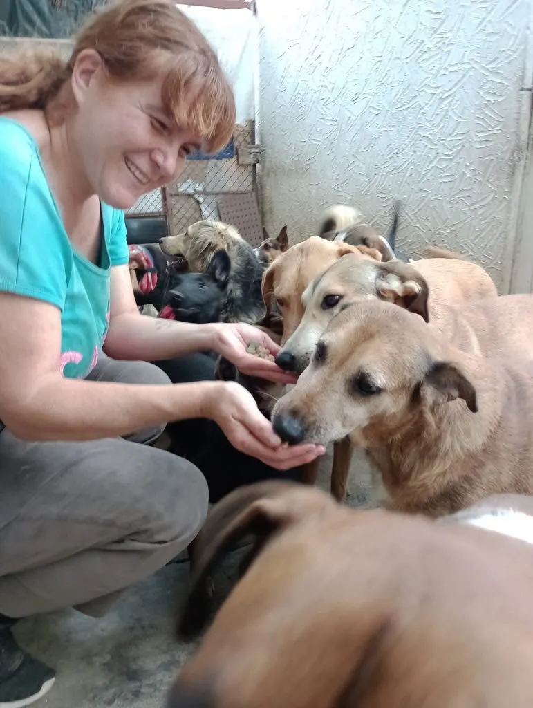 Bety Fernandez, founder of ADOGTA Foundation in Mexico, smiles while hand-feeding a group of rescued dogs in a clean, sectioned shelter space. She currently cares for 87 dogs daily with love and dedication.
