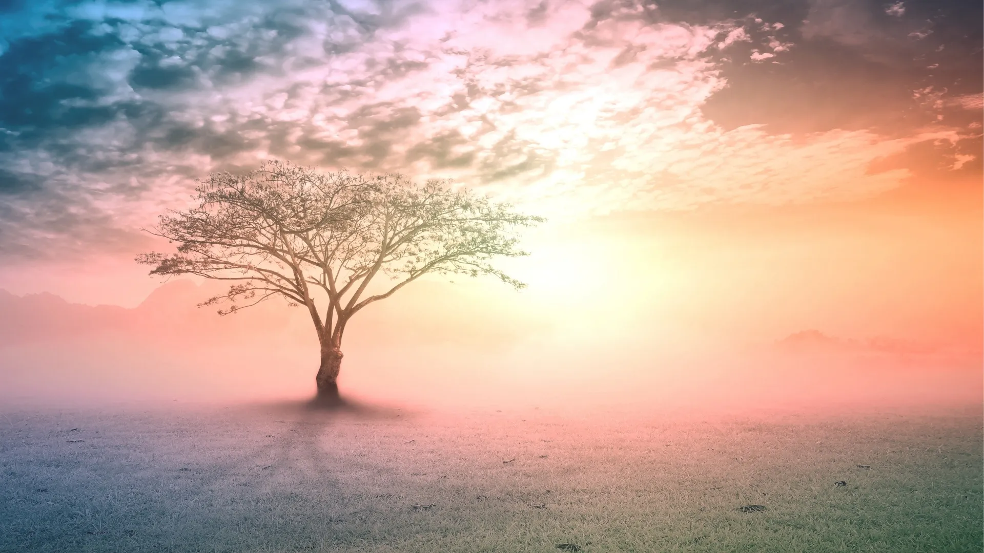 surreal landscape with tree symbolizing holistic healing as a part of nature