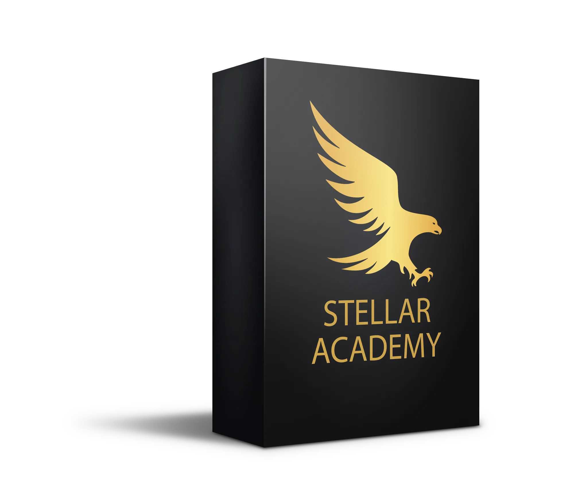 stellar academy