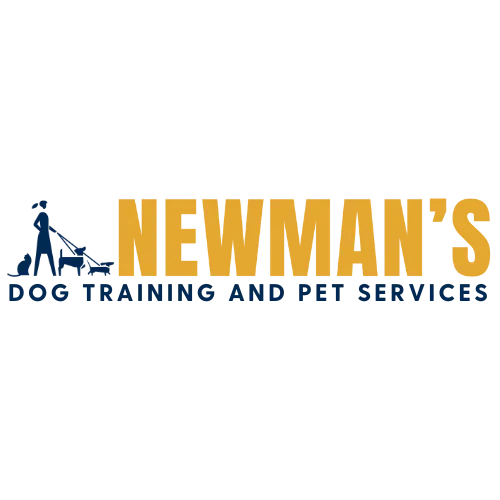 Newman's Dog Training homepage graphic lady and 2 dogs on leash
