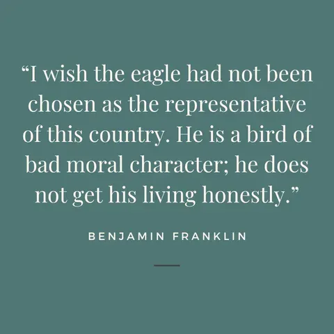 Benjamin Franklin's opinion about the bald eagle