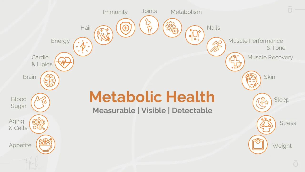 Metabolic Health Graphic showing all areas of metabolic health
