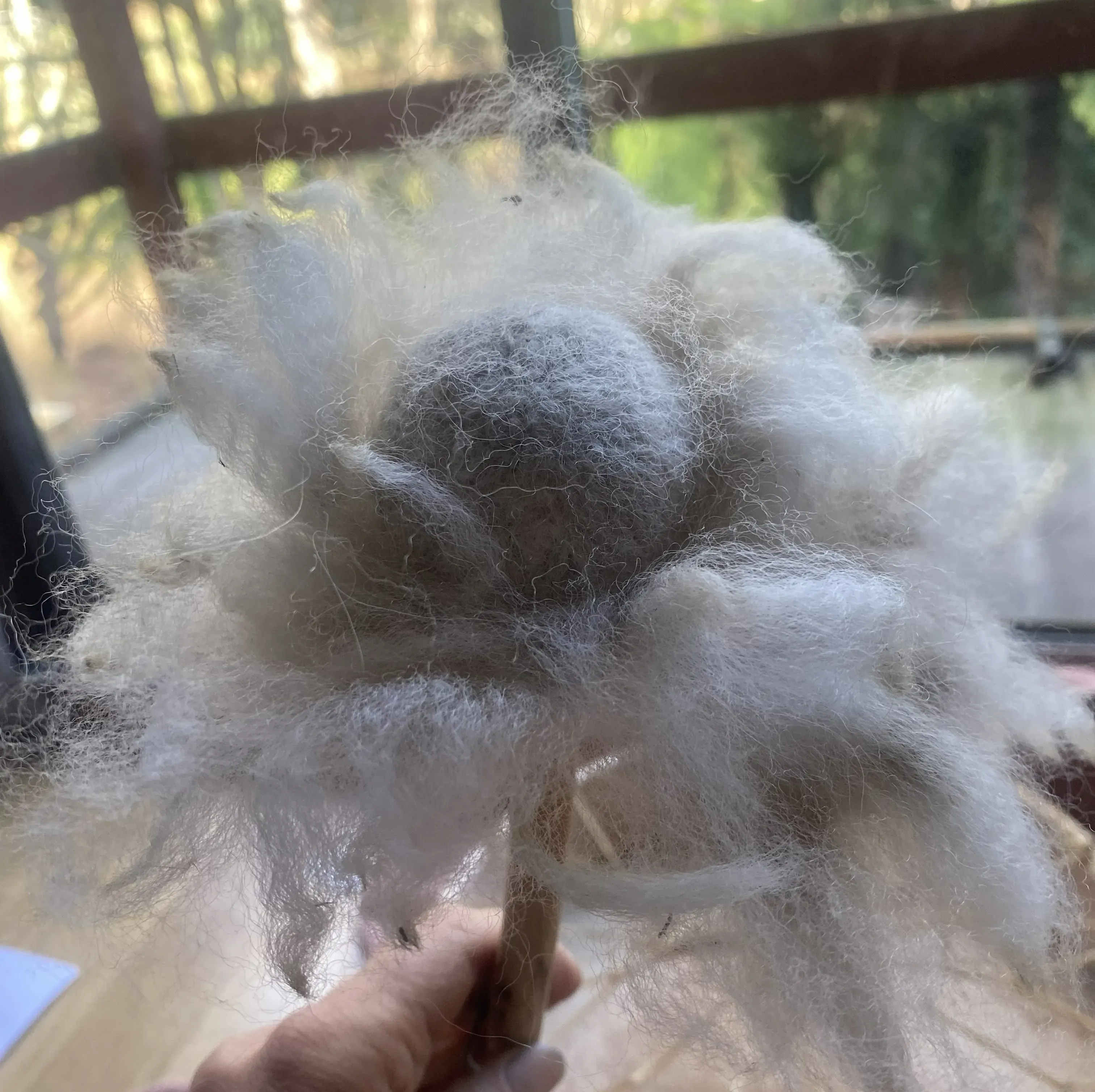 a woolen flower or beater