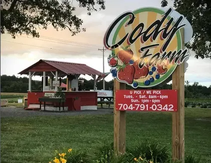 cody strawberry farm