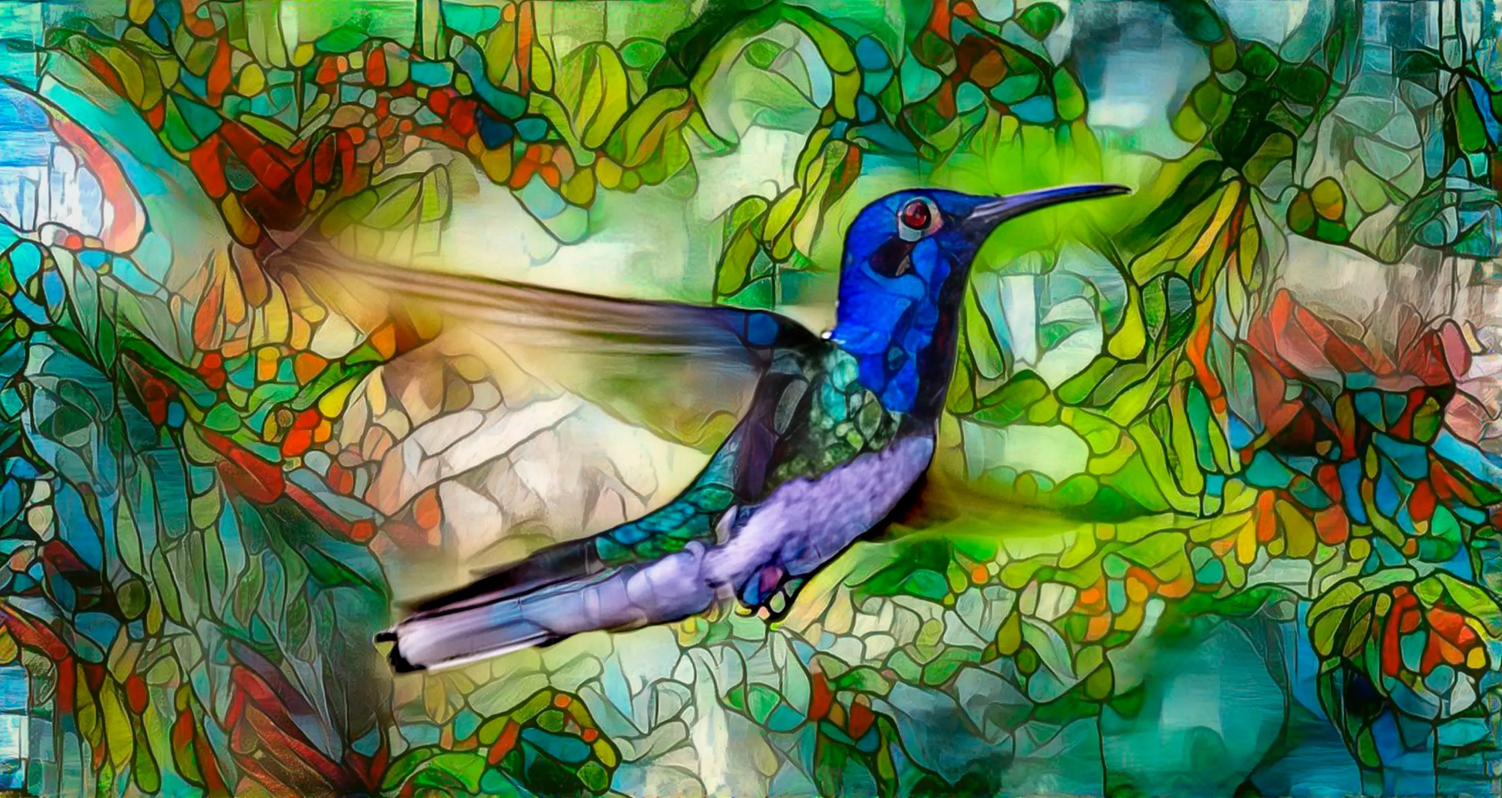Hummingbird Pic in Galery