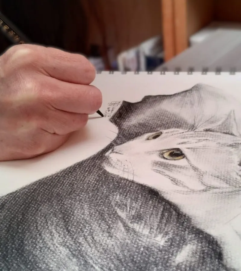 Liliana Nieto - Artista Plástica