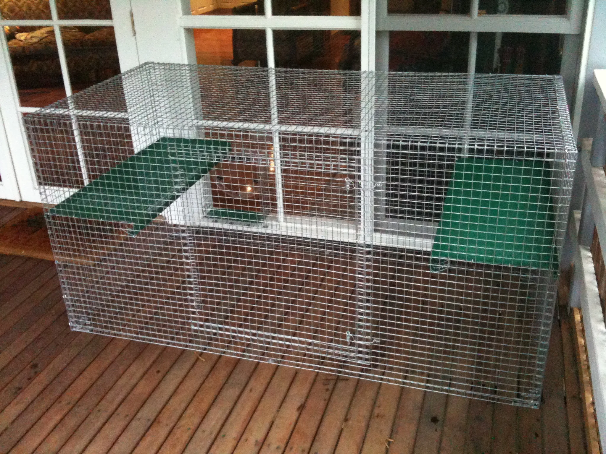 gate house cat enclosure