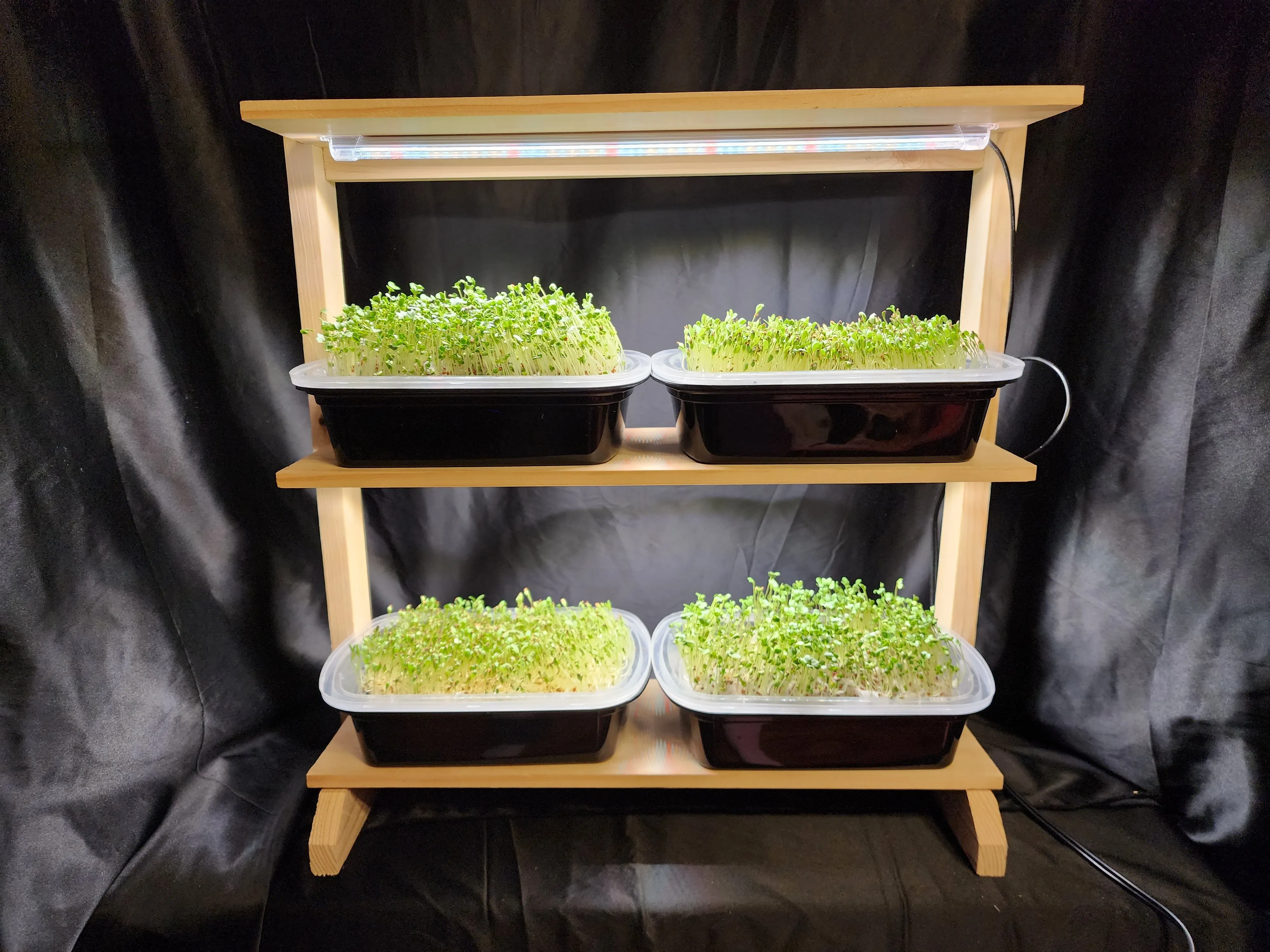 Easy Grow For Life Tiny Garden Grow System with broccoli Microgreens