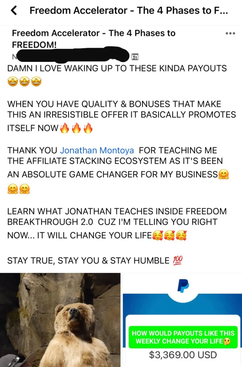 freedom accelerator testimonial 2