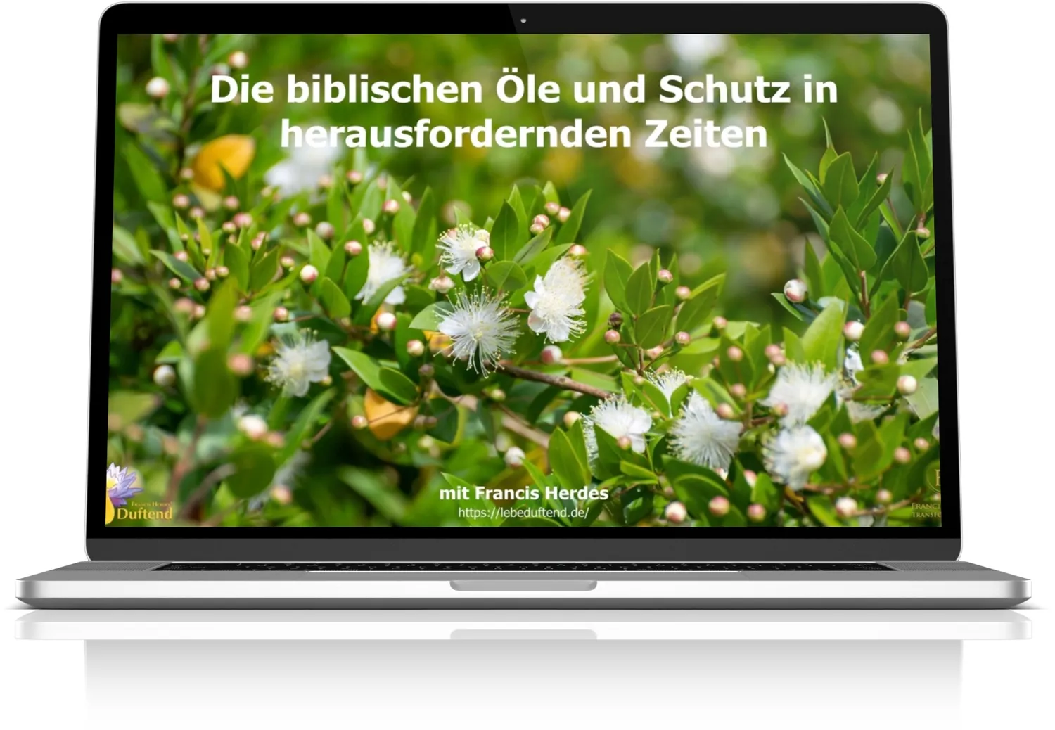 Die biblischen Öle und Schutz in herausfordernden Zeiten