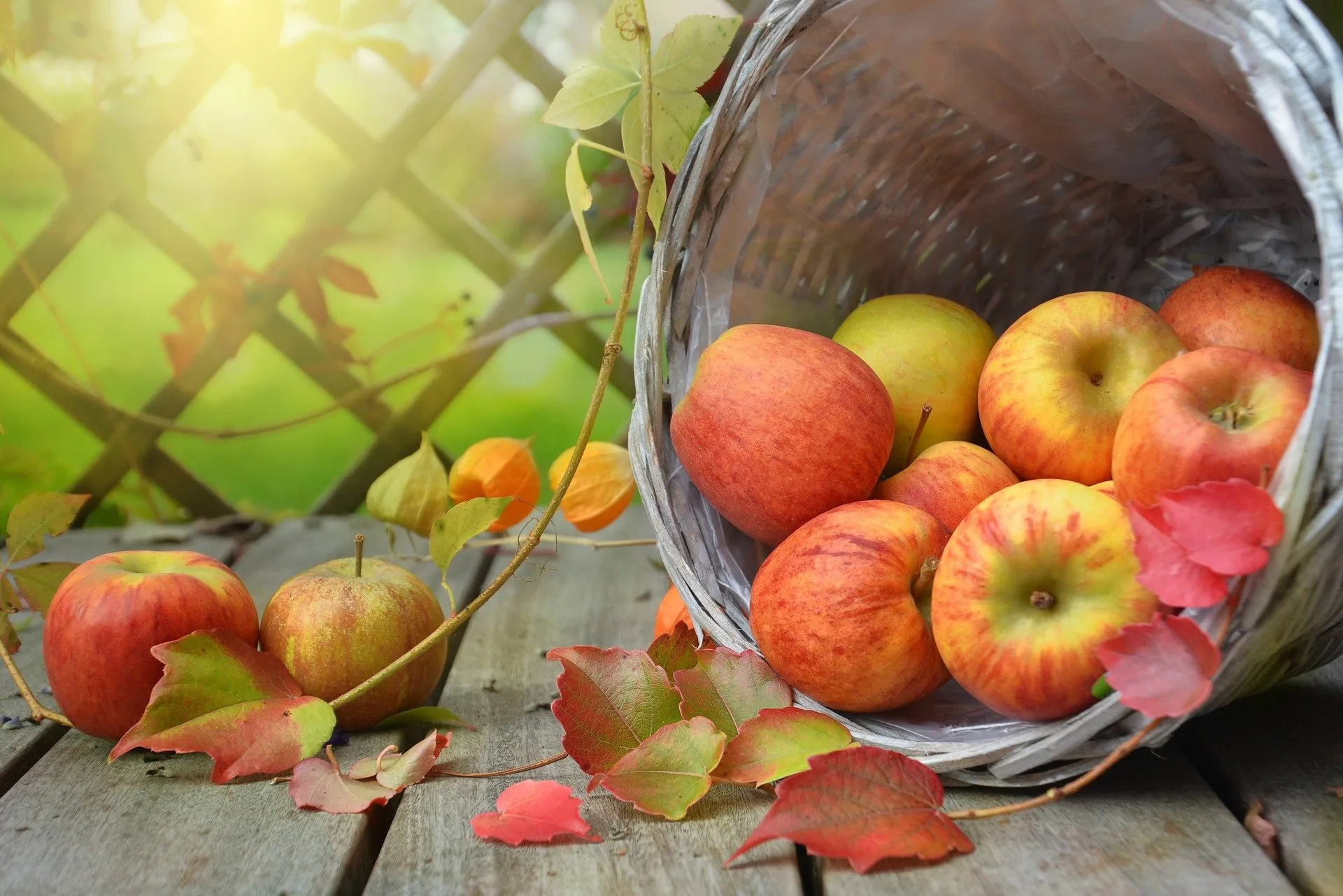 Fill your home with the fresh scent of fall fruits.