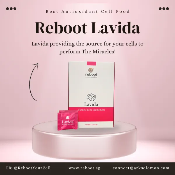 https://lavida.reboot.sg/
