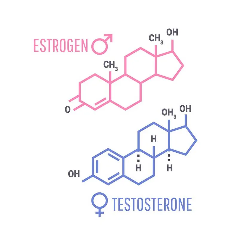 learn how to balance testosterone and estrogen