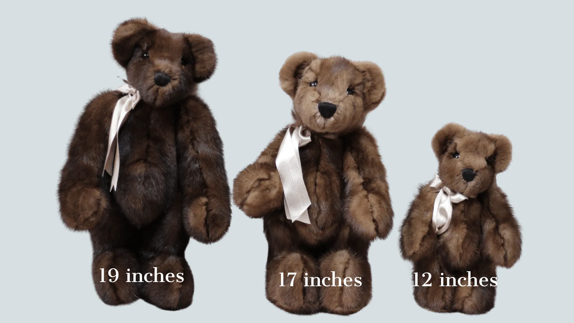 Different-sizes-of-bears-created-comparison